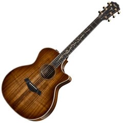 Elektro-akustinė gitara Taylor K24ce kaina ir informacija | Gitaros | pigu.lt