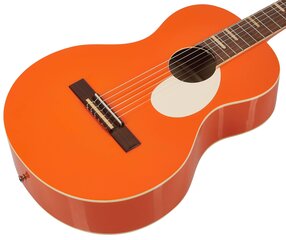 Klasikinė gitara Ortega Gaucho kaina ir informacija | Gitaros | pigu.lt