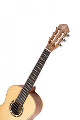 Klasikinė gitara Ortega Family Series kaina ir informacija | Gitaros | pigu.lt