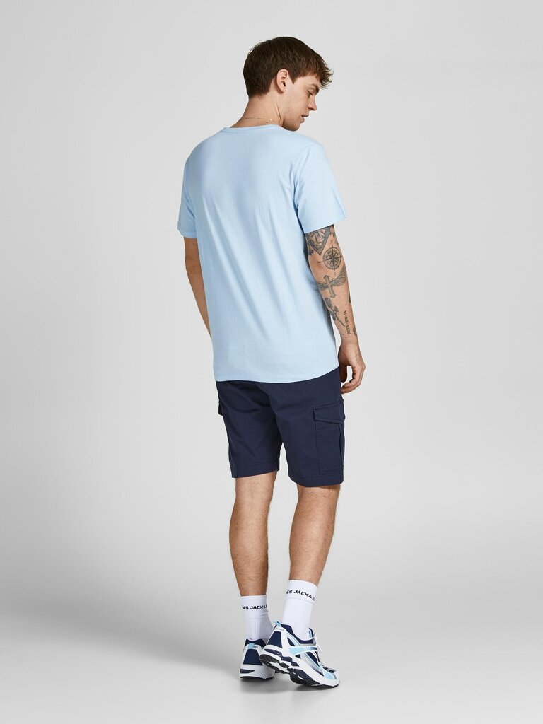 Jack&Jones vyriški šortai 5714926323864 kaina ir informacija | Vyriški šortai | pigu.lt