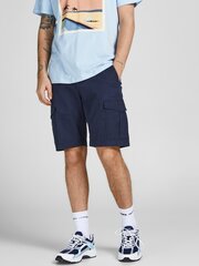 Мужские шорты Jack & Jones 5714926323864 цена и информация | Мужские шорты | pigu.lt