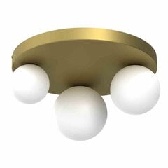 Milagro lubinis šviestuvas Bibione Gold kaina ir informacija | Lubiniai šviestuvai | pigu.lt