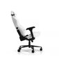 DXRacer Craft C001-W-N цена и информация | Biuro kėdės | pigu.lt