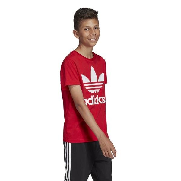 Marškinėliai adidas originals trefoil tee ed7795 цена и информация | Marškinėliai mergaitėms | pigu.lt