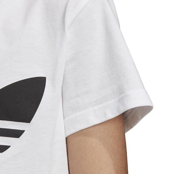 Marškinėliai adidas originals trefoil tee dv2904 kaina ir informacija | Marškinėliai berniukams | pigu.lt