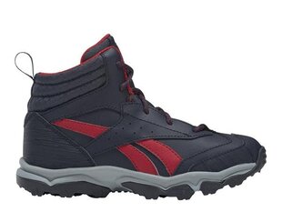 SPORTS REEBOK RUGGED RUNNER MID FW8554 цена и информация | Детская спортивная обувь | pigu.lt