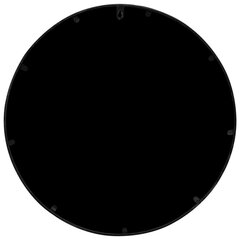 vidaXL Sodo veidrodis, juodos spalvos, 60x2,5cm, geležis, apskritas kaina ir informacija | Veidrodžiai | pigu.lt