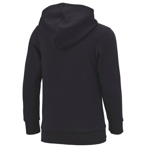 Champion džemperis Legacy Hooded Sweatshirt 305784kk001 kaina ir informacija | Megztiniai, bluzonai, švarkai berniukams | pigu.lt