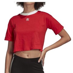 T-SHIRT ADIDAS ORIGINALS CROP TOP FM3258 цена и информация | Женские футболки | pigu.lt