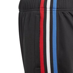 SWEATPANTS ADIDAS ORIGINALS TRACKPANT GN7485 цена и информация | Штаны для мальчиков | pigu.lt