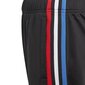 Kelnės adidas originals trackpant gn7485 цена и информация | Kelnės berniukams | pigu.lt