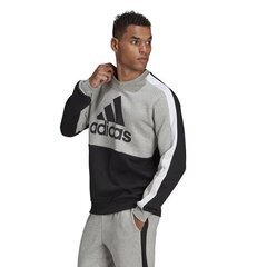 HOODIE ADIDAS PERFORMANCE  HE4333 цена и информация | Мужские толстовки | pigu.lt