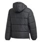 Striukė adidas originals pad hooded puff ge1291 kaina ir informacija | Vyriškos striukės | pigu.lt