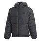 Striukė adidas originals pad hooded puff ge1291 kaina ir informacija | Vyriškos striukės | pigu.lt