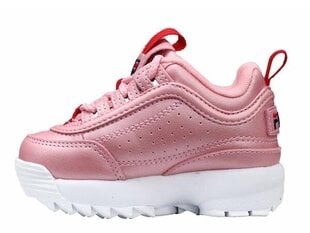 SPORTS FILA DISRUPTOR F INF 101107773L цена и информация | Детская спортивная обувь | pigu.lt