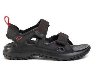 SANDALS THE NORTH FACE HEDGEHOG SANDAL III NF0A46BHKT01 цена и информация | Мужские шлепанцы, босоножки | pigu.lt