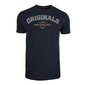 Marškinėliai vyrams Monotox Originals College, mėlyni kaina ir informacija | Vyriški marškinėliai | pigu.lt