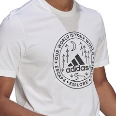 T-SHIRT ADIDAS PERFORMANCE M CRCL XPLR T GL2690 цена и информация | Мужские футболки | pigu.lt