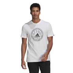 T-SHIRT ADIDAS PERFORMANCE M CRCL XPLR T GL2690 цена и информация | Мужские футболки | pigu.lt