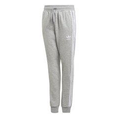 SWEATPANTS ADIDAS ORIGINALS TREFOIL PANTS GD2705 цена и информация | Штаны для мальчиков | pigu.lt