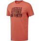 Marškinėliai vyrams Reebok EC1485, oranžiniai цена и информация | Vyriški marškinėliai | pigu.lt