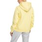 Džemperis moterims Champion Legacy Hooded Sweatshirt 114461YS105, geltonas kaina ir informacija | Džemperiai moterims | pigu.lt