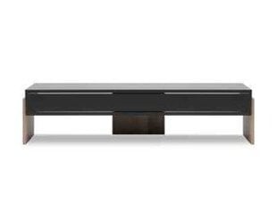 ТВ столик BSL Concept Zhuri, 120x35x30 см, черный цвет цена и информация |  Тумбы под телевизор | pigu.lt