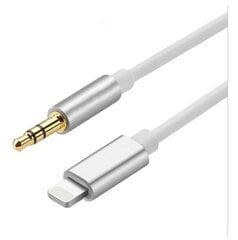 AUX Lightning mini Jack 3,5 mm iPhone iPad 1M kaina ir informacija | Laidai telefonams | pigu.lt