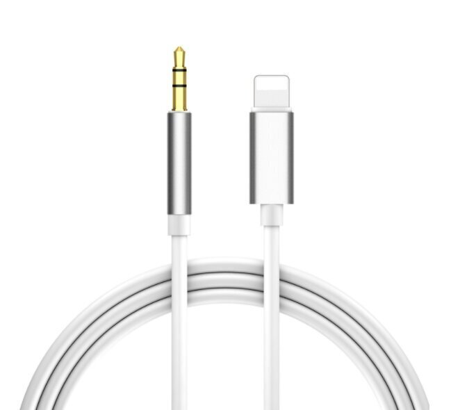 AUX Lightning mini Jack 3,5 mm iPhone iPad 1M kaina ir informacija | Laidai telefonams | pigu.lt