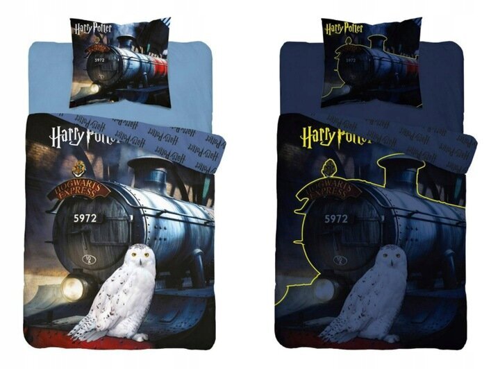 Vaikiška tamsoje šviečianti patalynė - Harry Potter 160 x 200 cm kaina |  pigu.lt