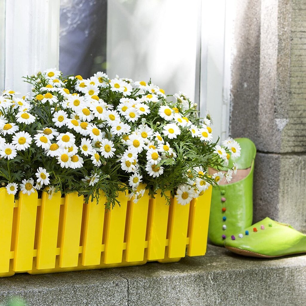 Dėžė gėlėms Landhaus su automatine laistymo sistema, 100x20x16,5 cm, kantri stiliaus, pilka kaina ir informacija | Loveliai | pigu.lt