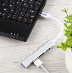 Zenwire 11260883485 цена и информация | Адаптеры, USB-разветвители | pigu.lt