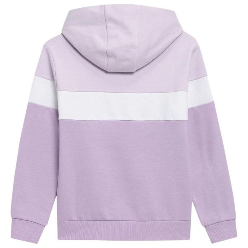 Džemperis mergaitėms 4F Jr HJL22JBLD00251S, violetinis kaina ir informacija | Megztiniai, bluzonai, švarkai mergaitėms | pigu.lt