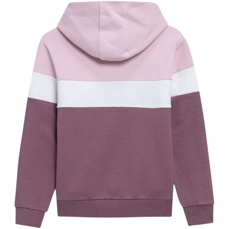 Džemperis mergaitėms 4F Jr HJL22JBLD00260S, violetinis kaina ir informacija | Megztiniai, bluzonai, švarkai mergaitėms | pigu.lt