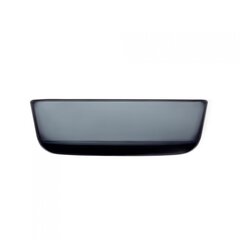 Iittala миска Essence, 16 см цена и информация | Посуда, тарелки, обеденные сервизы | pigu.lt