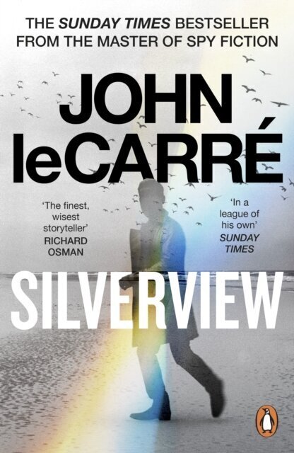Silverview: The Sunday Times bestseleris kaina ir informacija | Romanai | pigu.lt