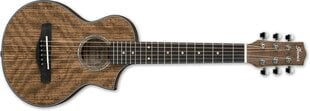 Ibanez EWP14WB акустическая гитара (Open pore natural) цена и информация | Гитары | pigu.lt