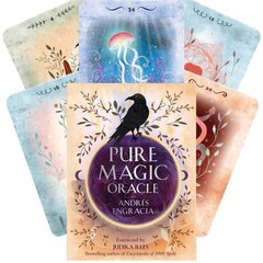 Enchanted Spell Oracle: Medieval Hedgewitch Magick цена и информация | Эзотерика | pigu.lt