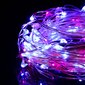 Kalėdinė girlianda, 20 LED, 1.9 m цена и информация | Girliandos | pigu.lt