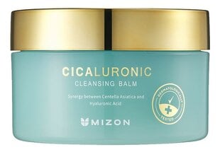 Valomasis valiklis Mizon Cicaluronic, 80ml цена и информация | Средства для очищения лица | pigu.lt