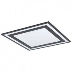 SAVATARILA ceiling light цена и информация | Потолочные светильники | pigu.lt