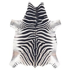 Kilimas Zebra G5128-1 100x150 kaina ir informacija | Kilimai | pigu.lt