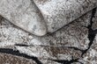 Kilimas Šiuolaikinis COZY 8985 akmuo - Struktūrinis, dviejų sluoksnių vilna, rudas kaina ir informacija | Kilimai | pigu.lt
