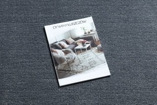 Современный ковёр Latio 71351070, серый цена и информация | Ковры | pigu.lt