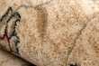 Vilnonis kilimas OMEGA ARIES ryškus rubinas kaina ir informacija | Kilimai | pigu.lt