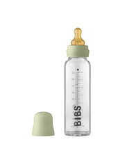 BIBS stiklinis maitinimo buteliukas 225ml (šalavijas) 0+ mėn kaina ir informacija | Buteliukai kūdikiams ir jų priedai | pigu.lt