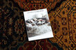 Vilnonis kilimas POLONIA Astoria rytietiškas, etno rubinas цена и информация | Kilimai | pigu.lt