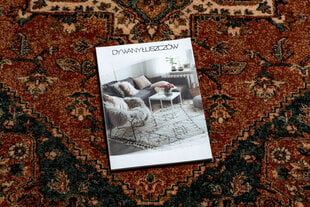 Vilnonis kilimas KASHQAI 4354 501 rozetė, rytietiškas oranžinė kaina ir informacija | Kilimai | pigu.lt