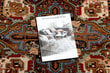 Kilimas KESHAN kutai, Ornamentas rytietiškas 2886/53555 smėlio spalvos / kaštoninės spalvos цена и информация | Kilimai | pigu.lt