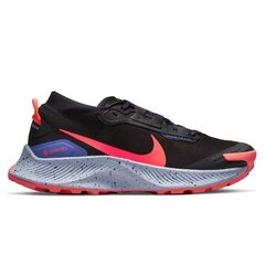 Sportiniai batai moterims Nike Pegasus Trail 3 GTX W DC8794-002 цена и информация | Спортивная обувь, кроссовки для женщин | pigu.lt